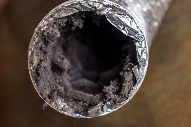 Best Affordable Duct Cleaning Services  in Bowman, ND